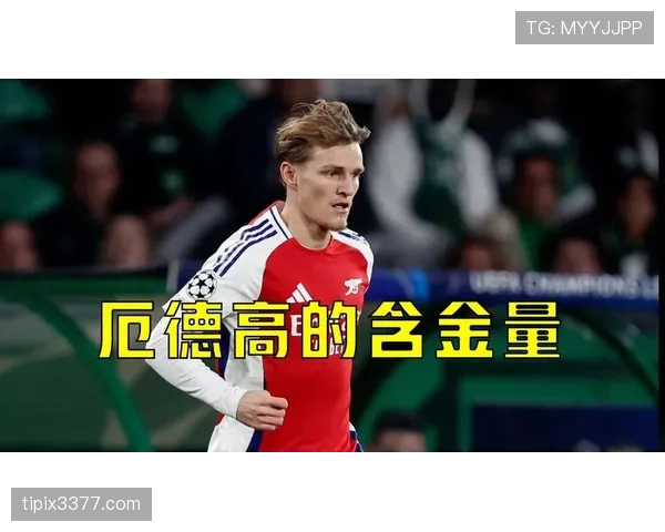 厄德高现有数据含金量几何，是否匹配其实际赛场表现？